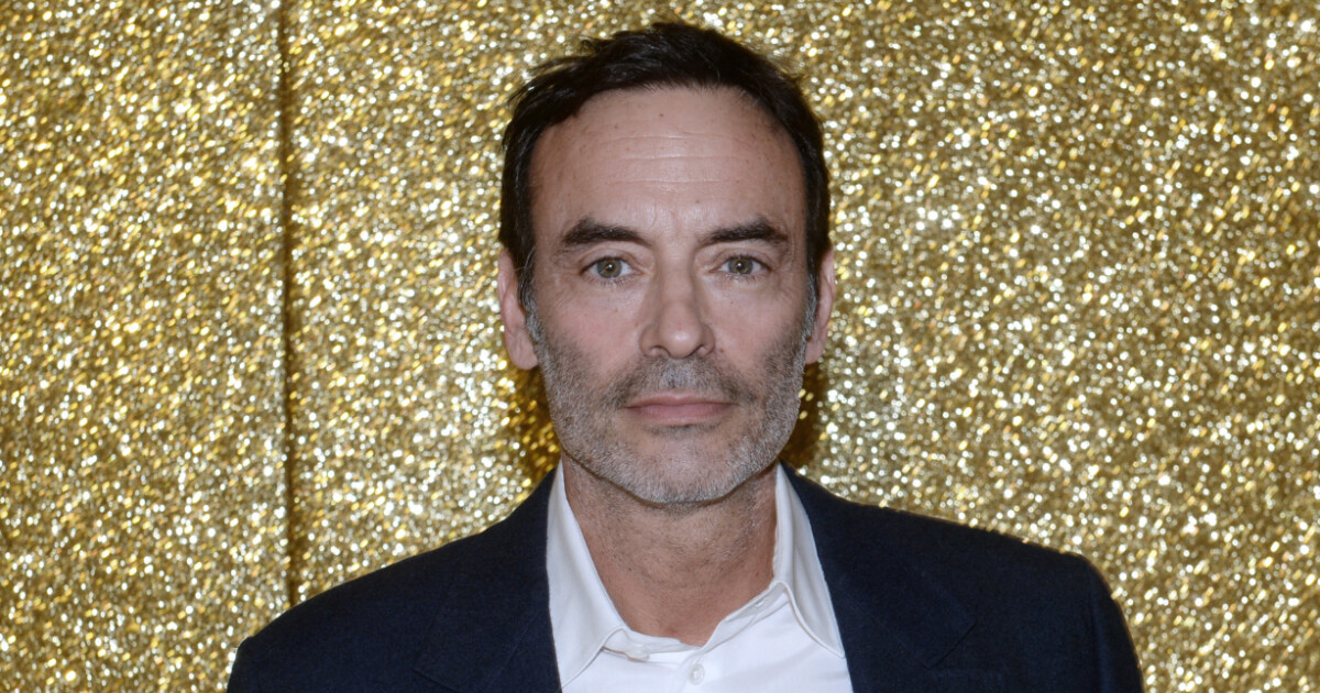 PHOTOS Anthony Delon plongé dans la magie de Noël, Tomer Sisley amoureux et Laurence Ferrari enchantée