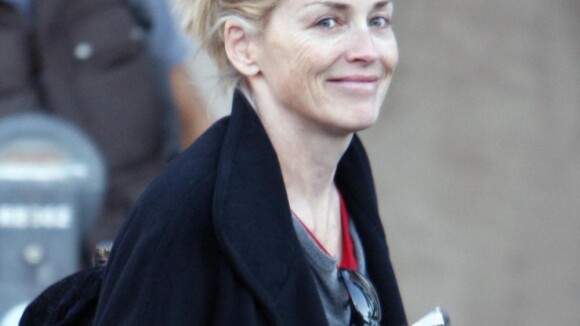 Sharon Stone : Transformée en Madame Doubtfire pour New York Unité spéciale, elle reste superbe !