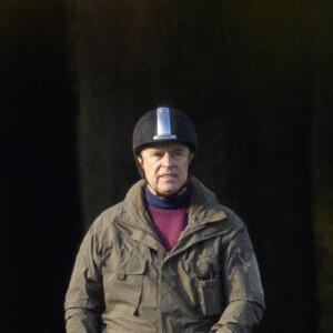 Le prince Andrew va faire une balade matinale à cheval à Windsor le 3 novembre 2023. Comme sa mère, la reine Elizabeth, il porte un coquelicot sur son cheval.