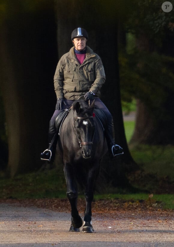 Le prince Andrew va faire une balade matinale à cheval à Windsor le 3 novembre 2023. Comme sa mère, la reine Elizabeth, il porte un coquelicot sur son cheval.