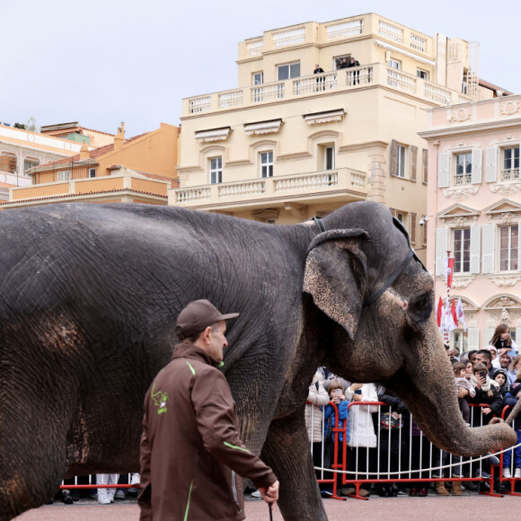Illustration parade et artistes - La famille princière Monégasque lors de la Grande Parade du Cirque et de l'Open Air Circus Show pour fêter le Centenaire de la naissance du Prince Rainier III et les 50 ans du Festival International du Cirque de Monte-Carlo sur la place du palais princier le 13 janvier 2024. © Claudia Albuquerque / Bestimage 