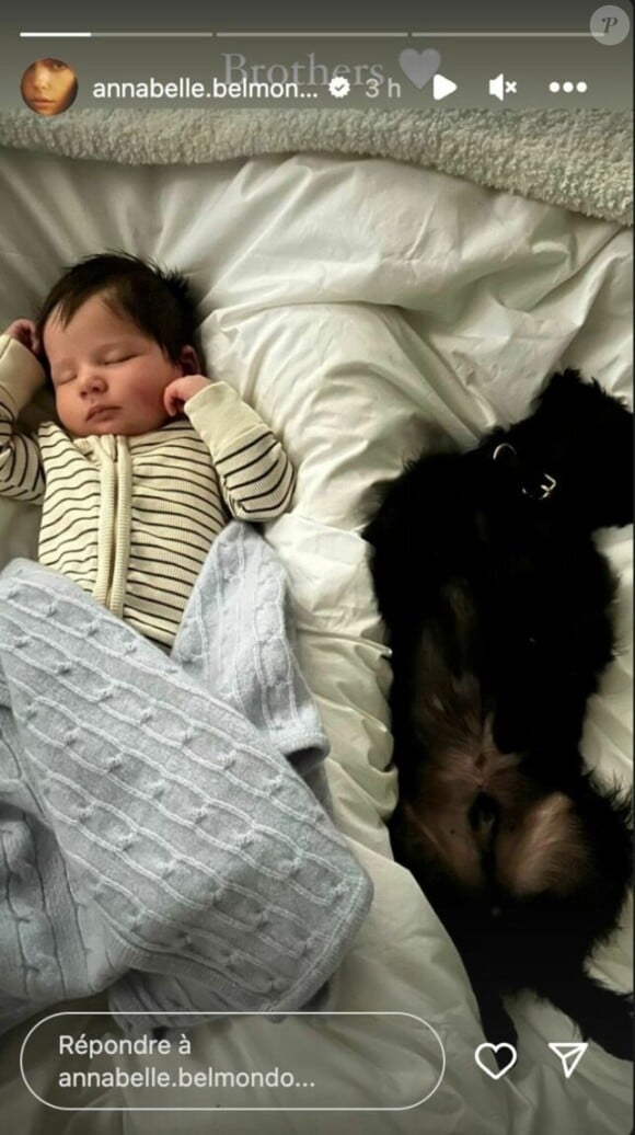 Sur la nouvelle photographie qu'elle a partagé sur les réseaux sociaux, l'enfant dort tel un ange juste à côté d'un petit chien aux poils noirs et soyeux.
Annabelle Belmondo dévoile une photo de son fils Angelo Nabil Sehnaoui. Le 15 janvier 2024.