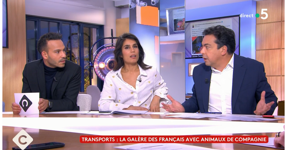 VIDEO "Vous m'insupportez !" Patrick Cohen et Mohamed Bouhafsi s