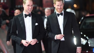 Harry et William réunis pour un hommage à leur mère Diana, retrouvailles rares mais très loin de celles que l'on imagine...