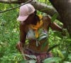 Dans cette nouvelle édition de "Koh-Lanta", de nombreux colliers d'immunité sont cachés sur les camps.
Sarah, un bâton à la main lors d'une balade en forêt, dans "Koh-Lanta, Les Chasseurs d'immunité".