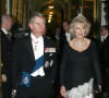 Ils se sont mis en mode "pilote automatique" pour le mariage de leur père et de Camilla en 2005
Archive - Charles et Camilla à Buckingham Palace en 2005