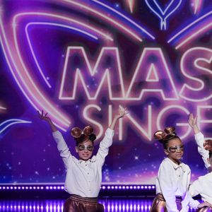 Photo officielle de "Mask Singer 2024"