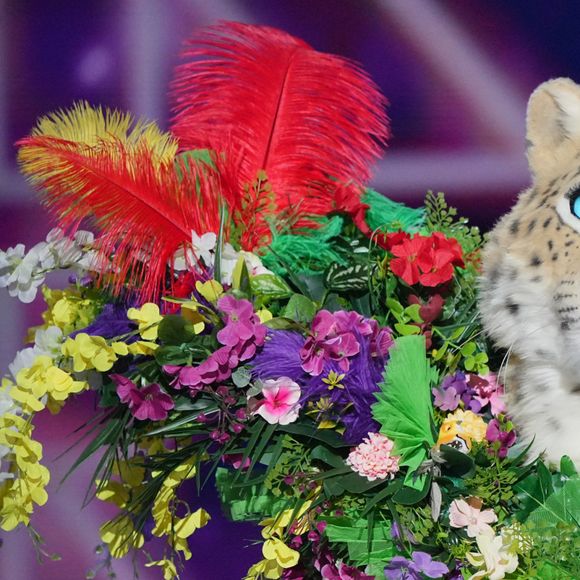 Le Léopard faisait aussi partie des finalistes
Photo officielle de "Mask Singer 2024"