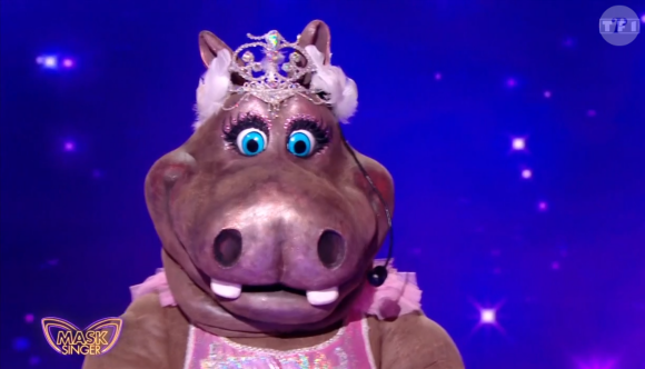 L'Hippopotame a remporté cette saison 6

L'Hippopotame, "Mask Singer", TF1.