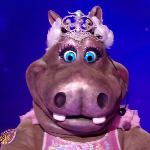 L'Hippopotame a remporté cette saison 6

L'Hippopotame, "Mask Singer", TF1.