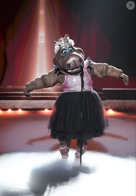 Ils seront plus d'une vingtaine à faire le show sur scène
L'Hippopotame de "Mask Singer 2024", photo officielle