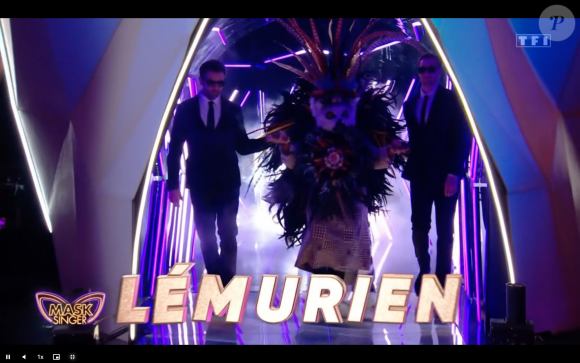 Le Lémurien, "Mask Singer", TF1.