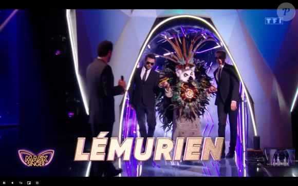 Le Lémurien, "Mask Singer", TF1.