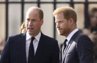 Harry de retour en Angleterre : le prince William jaloux de son frère pour deux raisons précises