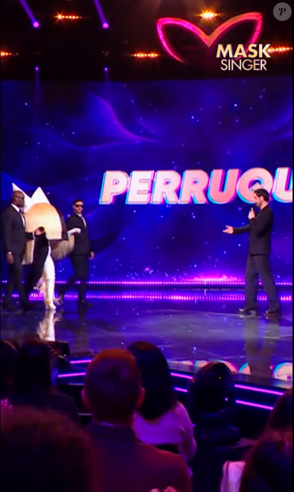 La perruque, "Mask Singer", TF1.