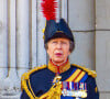 La princesse Anne est une membre très active de la famille royale et une cavalière très expérimentée
La princesse Anne lors de Trooping the Colour 2024