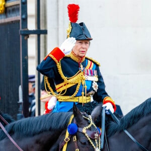 La princesse Anne - Les membres de la famille royale britannique lors de la parade Trooping the Color à Londres, Royaume Uni, le 15 juin 2024. © Backgrid USA/Bestimage