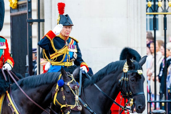 La princesse Anne - Les membres de la famille royale britannique lors de la parade Trooping the Color à Londres, Royaume Uni, le 15 juin 2024. © Backgrid USA/Bestimage