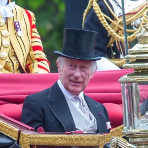 Le roi Charles III d'Angleterre et l'empereur du Japon Naruhito en calèche lors de la cérémonie d'accueil à Londres, le 25 juin 2024. 