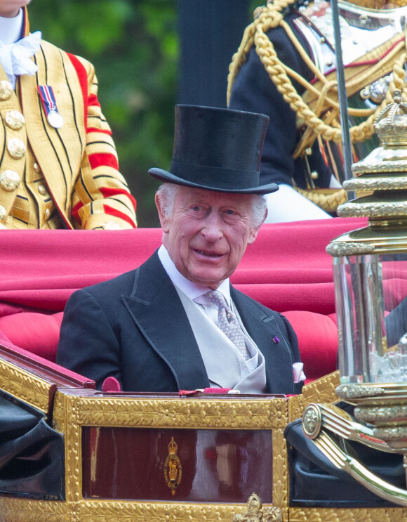 Le roi Charles III d'Angleterre et l'empereur du Japon Naruhito en calèche lors de la cérémonie d'accueil à Londres, le 25 juin 2024. 