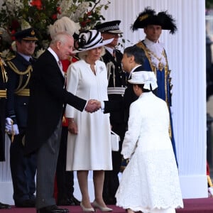 En effet, elle est allergique aux chevaux ! 
L'impératrice Masako du Japon, la reine consort Camilla, le prince William, prince de Galles - Le roi Charles III d'Angleterre et l'empereur du Japon Naruhito inspectent la garde d'honneur au pavillon royal à Londres le 25 juin 2024. L'empereur et l'impératrice du Japon sont en visite officielle au Royaume Uni du 25 au 28 juin 2024. 