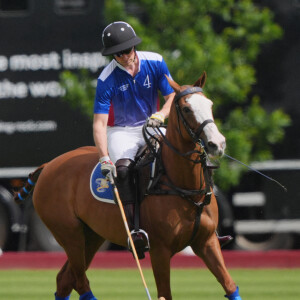 Le prince William au Royal Charity Polo Cup à Windsor dans le Berkshire.