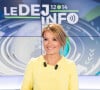 Pascale de la Tour du Pin a choisi de quitter BFMTV pour C8
Pascale de la Tour du Pin sur le plateau du "Déj info"