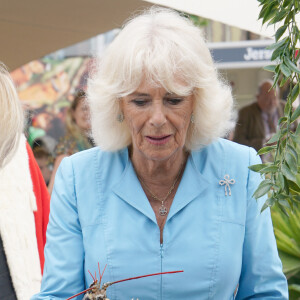 La reine Camilla (Camilla Parker Bowles, reine consort d'Angleterre) avec un homard lors de l'événement Jersey Expo à Weighbridge Place. Weighbridge Place, Jersey. © Alpha Press/Bestimage