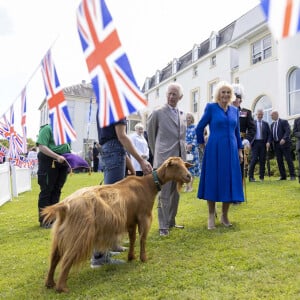 Le roi Charles III (Le roi Charles III d'Angleterre) et la reine Camilla (Camilla Parker Bowles, reine consort d'Angleterre) observent de rares chèvres dorées de Guernesey lors d'une visite aux Cotils à L'Hyvreuse, au cours d'une visite officielle à Guernesey le 16 juillet 2024 à St Peter Port, Guernesey. Ian Vogler/MirrorPix/Bestimage