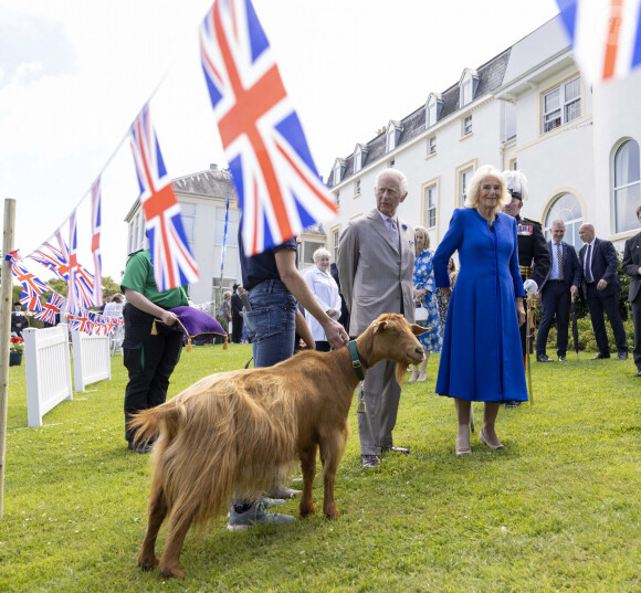 Le roi Charles III (Le roi Charles III d'Angleterre) et la reine Camilla (Camilla Parker Bowles, reine consort d'Angleterre) observent de rares chèvres dorées de Guernesey lors d'une visite aux Cotils à L'Hyvreuse, au cours d'une visite officielle à Guernesey le 16 juillet 2024 à St Peter Port, Guernesey. Ian Vogler/MirrorPix/Bestimage