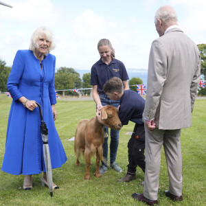 Selon les informations de "Paris Match" ou encore du "Daily Mail", elle souffrait d'une légère entorse, survenue récemment. 
Le roi Charles III d'Angleterre et Camilla Parker Bowles, reine consort d'Angleterre, en visite officielle à Guernesey à Saint-Pierre-Port, le 15 juillet 2024. 