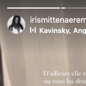 Elle peut compter sur la petite Calypso, un petit chiot qu'elle a récemment adopté et qu'elle considère déjà comme sa "fille". 
Capture d'écran Instagram Iris Mittenaere