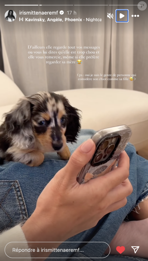 Elle peut compter sur la petite Calypso, un petit chiot qu'elle a récemment adopté et qu'elle considère déjà comme sa "fille". 
Capture d'écran Instagram Iris Mittenaere