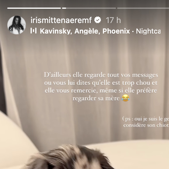 Elle peut compter sur la petite Calypso, un petit chiot qu'elle a récemment adopté et qu'elle considère déjà comme sa "fille". 
Capture d'écran Instagram Iris Mittenaere