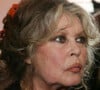 Elle a explosé sur le devant de la scène avec le film "Et Dieu créa la femme", qui a marqué le début de sa carrière
Brigitte Bardot célébre les 20 ans de sa fondation pour les animaux au théatre Marigny 