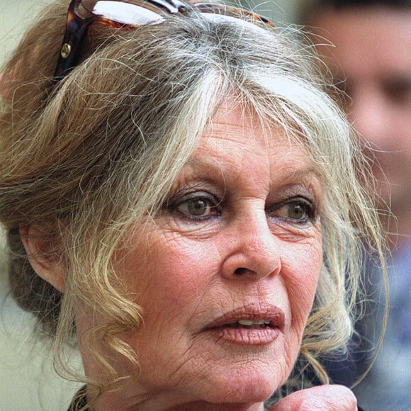 Brigitte Bardot ne veut pas être vaccinée contre le Covid - "Brigitte Barbot" à Matignon Paris plaide la cause des animaux