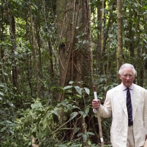 Photo d'archive datée du 08/04/18 du roi Charles III (alors prince de Galles) avec Roy Gibson, un ancien de la tribu Kuku Yalanji, lors d'une promenade au temps du rêve Ngadiku pendant sa visite de la forêt tropicale de Daintree à Cairns, en Australie. Le roi et la reine entament vendredi une visite de cinq jours en Australie. Il s'agit du premier voyage à l'étranger de longue durée du roi depuis le diagnostic de son cancer. Arthur Edwards/The Sun/PA Wire