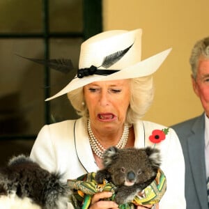 Ce voyage, long de 33 heures de vol, a nécessité des précautions particulières...
Photo d'archive datée du 07/11/12 du roi Charles III et de la reine Camilla (alors le prince de Galles et la duchesse de Cornouailles) tenant des koalas au Government House à Adélaïde, Australie. Le roi et la reine Camilla sont sur le point d'arriver en Australie pour le début d'une tournée historique dans le Pacifique Sud. Ce voyage de six jours à Canberra et à Sydney sera la première visite de Charles dans un royaume - pays où il est chef d'État - depuis qu'il est devenu monarque à la suite du décès de la reine Élisabeth II. Chris Radburn/PA Wire