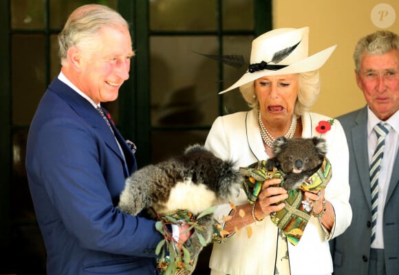 Ce voyage, long de 33 heures de vol, a nécessité des précautions particulières...
Photo d'archive datée du 07/11/12 du roi Charles III et de la reine Camilla (alors le prince de Galles et la duchesse de Cornouailles) tenant des koalas au Government House à Adélaïde, Australie. Le roi et la reine Camilla sont sur le point d'arriver en Australie pour le début d'une tournée historique dans le Pacifique Sud. Ce voyage de six jours à Canberra et à Sydney sera la première visite de Charles dans un royaume - pays où il est chef d'État - depuis qu'il est devenu monarque à la suite du décès de la reine Élisabeth II. Chris Radburn/PA Wire