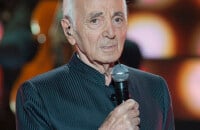 Charles Aznavour : Piscine couverte, 16 couchages... Sa magnifique propriété située dans les Alpilles, où il s'est éteint, est à louer !