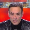 "J'apporterai des preuves s'il le faut" : Anthony Delon évoque l'héritage de son père Alain Delon