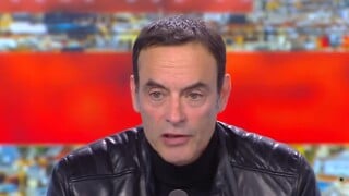 "J'apporterai des preuves s'il le faut" : Anthony Delon évoque l'héritage de son père Alain Delon