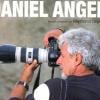 Daniel Angeli- Objectif Une