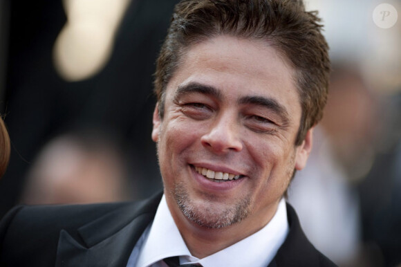 Benicio Del Toro, membre du jury du festival de Cannes 2010