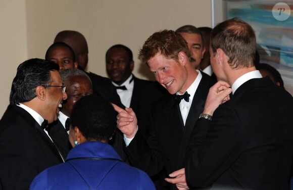 Réunis pour la première fois en "mission" à l'étranger, les princes Harry et William de Galles étaient jeudi 17 juin 2010 en visite au Lesotho.