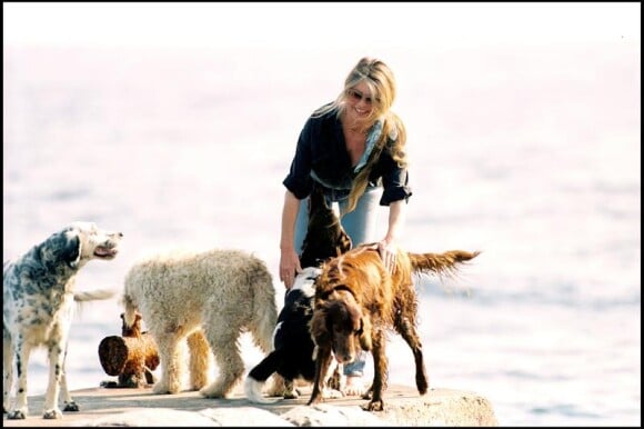 Brigitte Bardot et ses chiens à Saint-Tropez