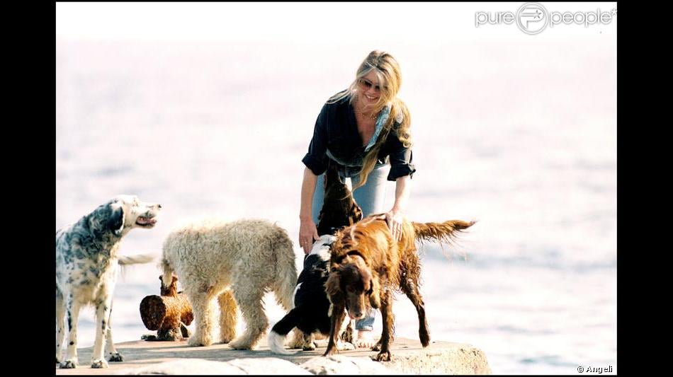 https://static1.purepeople.com/articles/8/59/84/8/@/441563-brigitte-bardot-et-ses-chiens-a-950x0-3.jpg