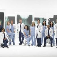 Grey's Anatomy recrute une bombe de... Transformers !