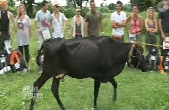 La vache serait-elle le handicap d'Isabelle et Christian ? (émission du 13 novembre 2010)