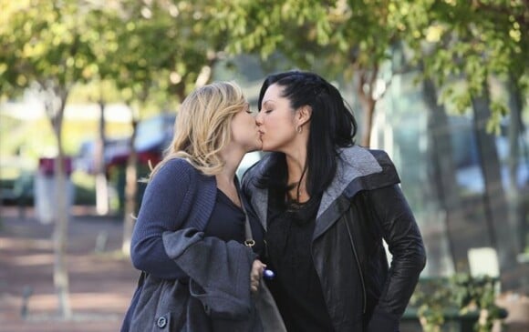 La série ose aussi dépasser les tabous, en mettant notamment en scène une histoire d'amour homosexuelle entre Callie (Sara Ramirez) et Arizona (Jessica Capshaw).